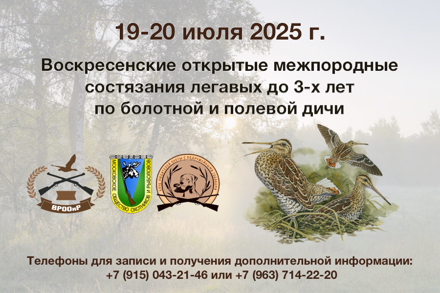 СОСТЯЗАНИЕ ЛКГАВЫХ